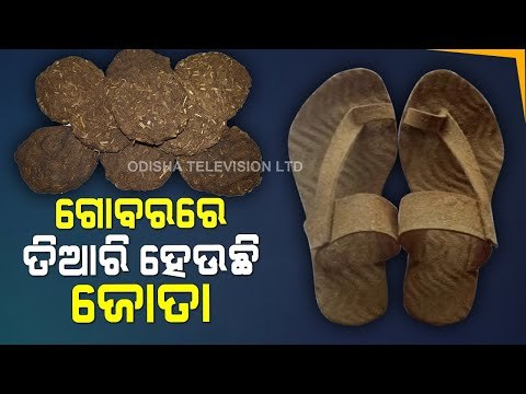 Special Story | 55-Year-Old Man Uses Cow Dung To Make Household Products