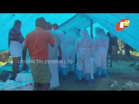 Bird Flu Scare | Bird Culling In Alapuzha, Kerala