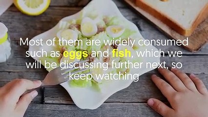 10 Foods That Are Rich In Vitamin B12