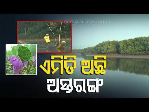 Astaranga's Devinasi Attracts Large Number Of Tourists