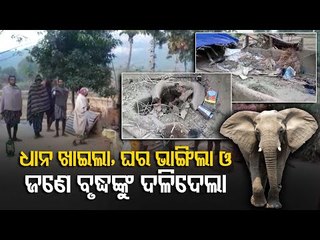 Elephant Attacks Man, Damages House In Balasore