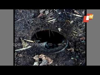 5 Kg Landmine Recovered In Odisha's Malkangiri, Close Shave For Security Forces