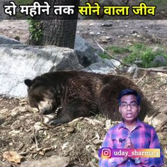 ऐसा जीव जो  दो महीने सोता है  #shorts #shortsbyanokhefacts   