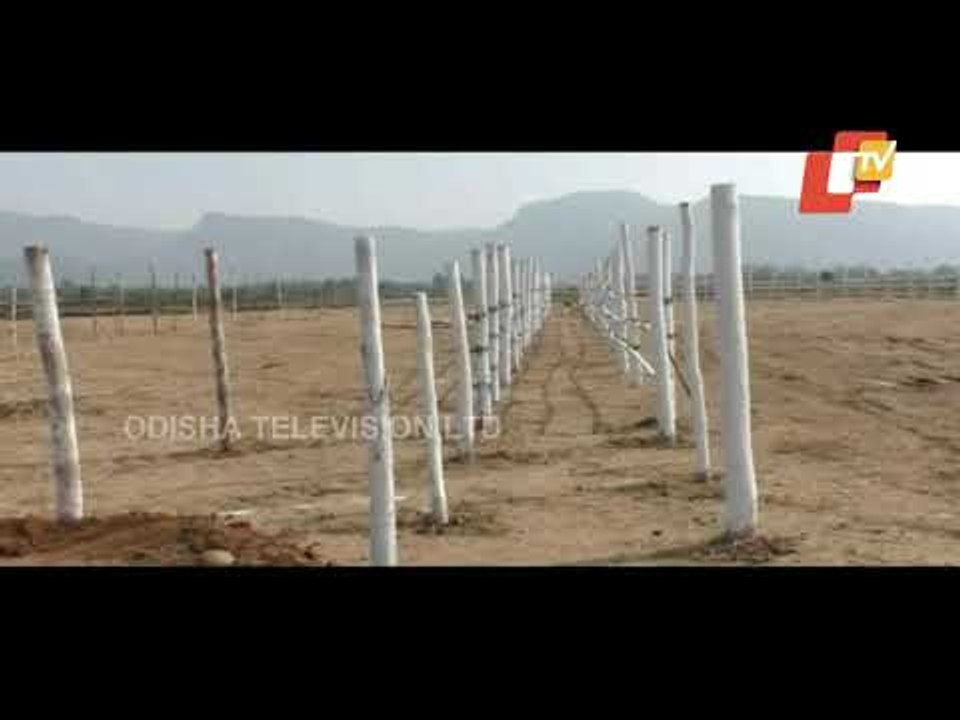 CM Naveen Patnaik To Inaugurate Indravati Mega Lift Irrigation Project In Kalahandi Today