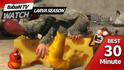 RANDOM PLAY I Watch 30 minutes a day!! I Ep.81 I Larva Cartoon I Larva Official Channel  I part.1