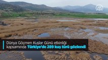 Dünya Göçmen Kuşlar Günü etkinliği kapsamında Türkiye'de 289 kuş türü gözlendi