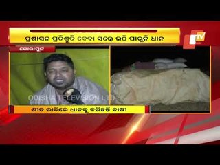 Waiting For Paddy Procurement, Farmers Stay Overnight At Koraput Mandi