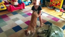 Battle Between Cats And Babies - Funny Video About Babies Being Angry At Cats | Belly Baby