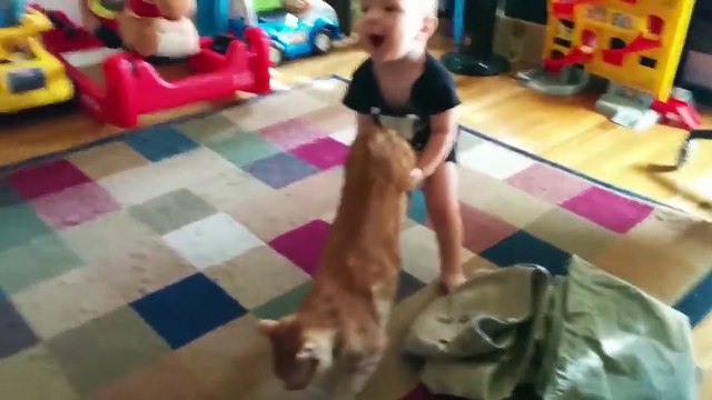 Battle Between Cats And Babies - Funny Video About Babies Being Angry At Cats | Belly Baby