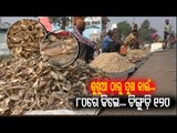 Dried Fish (Sukhua), A Delectable Non-Veg Delight-OTV Report From Basudevpur