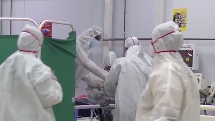 Científicos piden en la revista Science que se investigue a fondo la procedencia del Covid-19