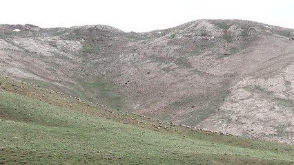 Yasaklı yayla ve meraların kullanıma açılması besicileri sevindirdi