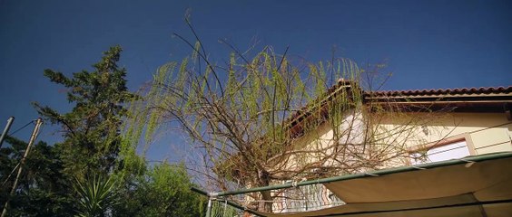 Kazy - Rafa Veron 🎶 Official Music Video