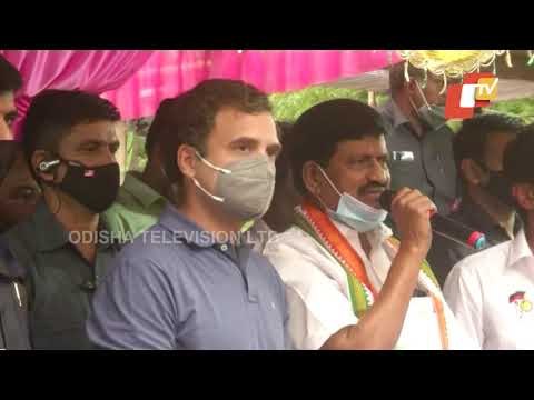 Congress MP Rahul Gandhi Attends Jallikattu Festival In Madurai