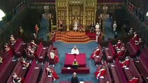 Queen's Speech plans for animals in the UK