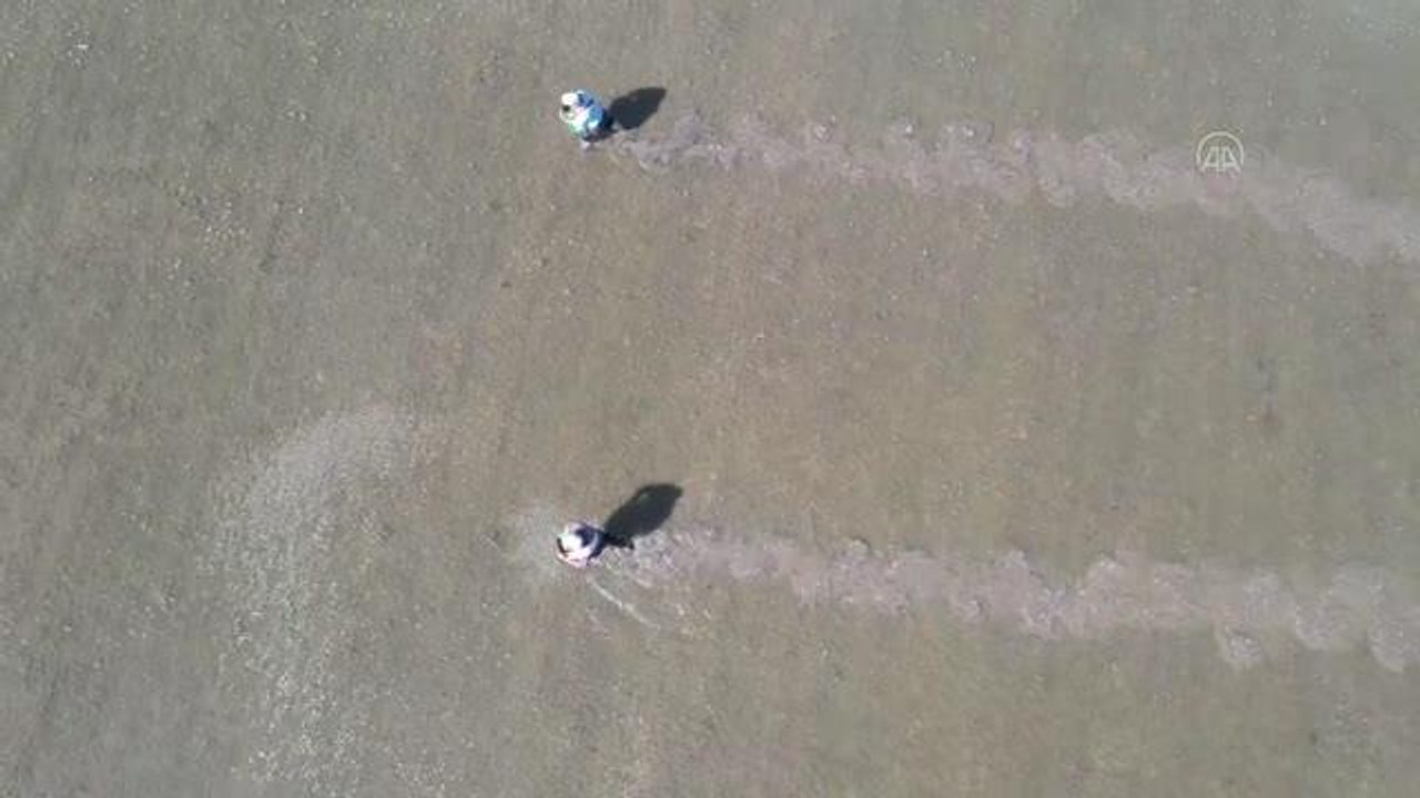 Türkiye'nin "çeltik ambarı" Edirne'de ekim mesaisi başladı