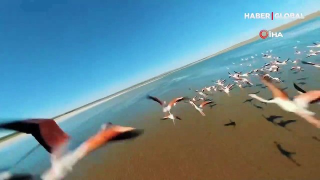 Flamingoların gözünden Düden Gölü izleyenleri büyüledi