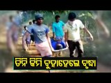 Ambulance Workers Carry Ailing Elderly Woman On Stretcher For 3 KM In Mayurbhanj