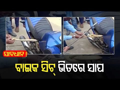 Watch - 4 Ft Long Cobra Rescued From A Bike In Bhubaneswar