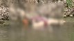 Ghazipur to Buxar dead bodies floating in Ganga