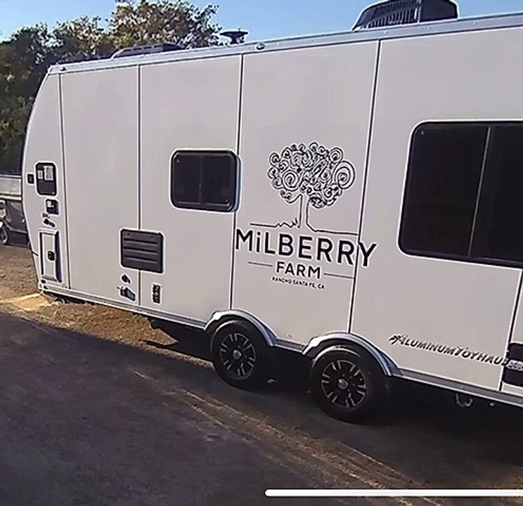 Confused Birds Fly Into Side of Trailer