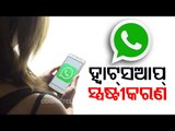 WhatsApp Privacy Policy & Rising Concern Among Users-OTV Special Report