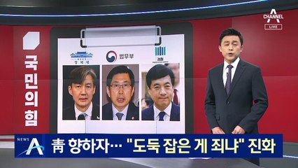 靑 향하자 여권서 이성윤 감싸기…“도둑 잡은 게 죄냐”