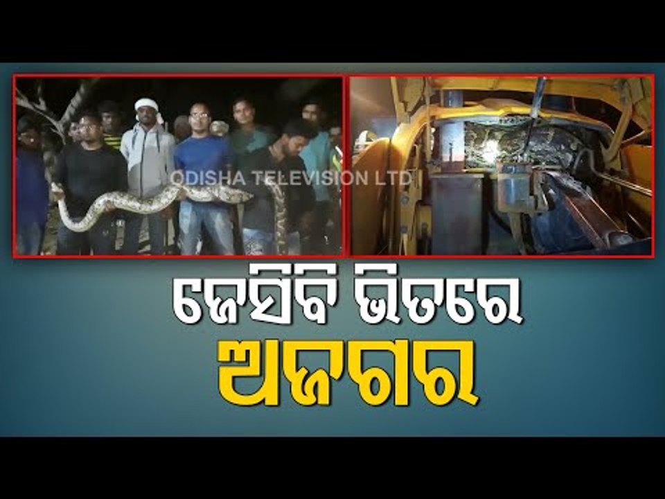 Huge Python Rescued From JCB Machine In Berhampur
