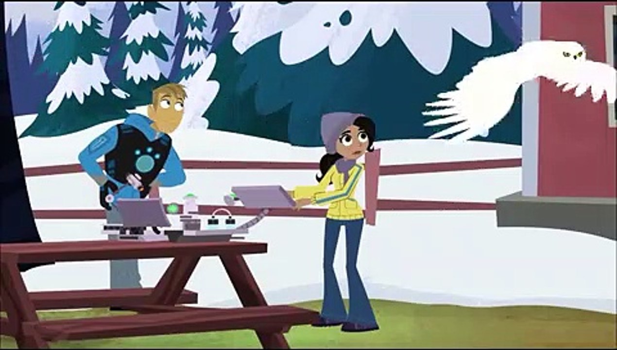 Wild Kratts Snowy Owl invasion - video Dailymotion