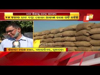 25,000 Paddy Sacks Lie In Open In Bhela Mandi, Nuapada-Govt Negligence Alleged