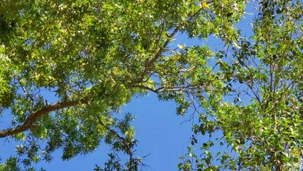 Get Involved In Local Politics