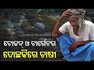 Paddy Procurement Comes To A Halt In Bargarh