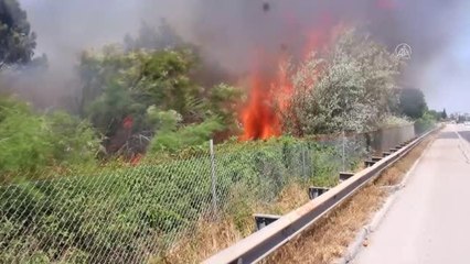 Son Dakika | Çukurova Üniversitesine ait ormanlık alanda çıkan yangın söndürüldü