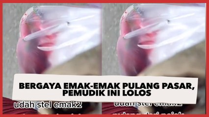 Download Video: Viral Wanita Ngaku Lolos Penyekatan Mudik, Bergaya Emak-emak Pulang Pasar