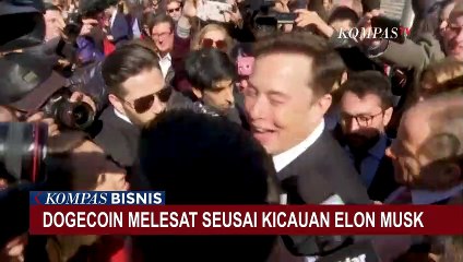 Gara-gara Tweet Elon Musk, Harga Aset Kripto Dogecoin Melesat 20 Persen!