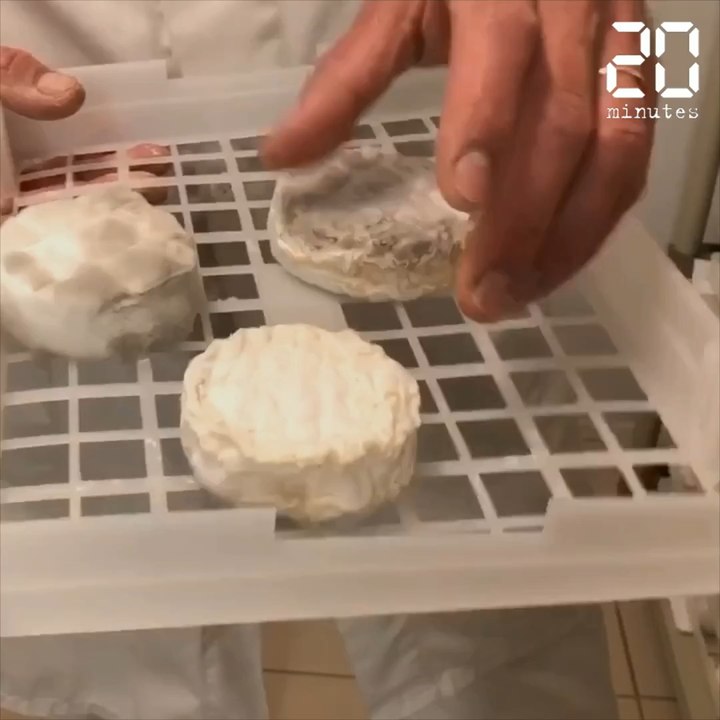 «Plein les doigts»: Pourquoi le Saint-Marcellin peut-il être moelleux mais aussi sec ?