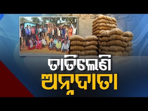 Paddy Procurement Woes Heat Up Political Sphere In Odisha