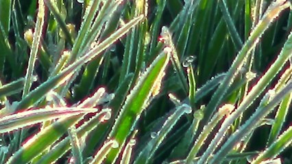 Poranne loty Pg w Krasnymstawie 09.05.2021   4K