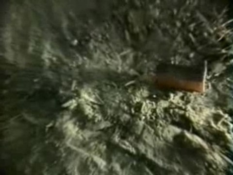 extrait de Flesh Eaters from Outer Space (TROMA)