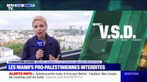 Manifestation pro-palestinienne interdite: pour Clémentine Autain, 