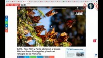#EnVivo Café y Noticias | Grupo México y las mariposas | “El Güero” y el desprestigio