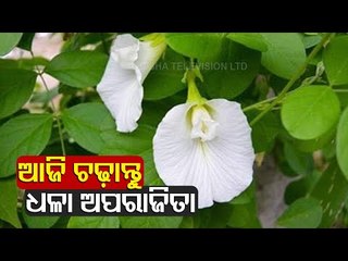 Bhagya Rekha - Know Your Horoscope For Today | 23 January 2021