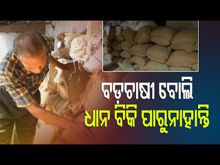 Paddy procurement | Farmers Stare At Uncertainty In Mayurbhanj