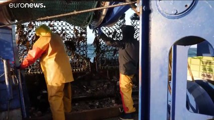 Noρμανδία: Κραυγή αγωνίας από τους ψαράδες