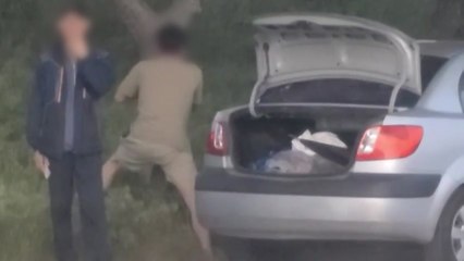 도로에서 가로수 껍질 불법으로 벗겨...남성 2명 추적 / YTN