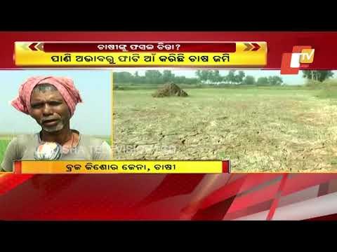 Without Irrigation, Acres Of Farm Land In Delang Face Imminent Draught