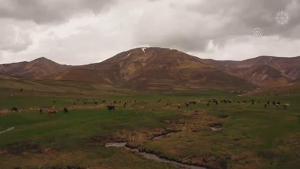 Cumhurbaşkanlığı İletişim Başkanlığından, aşılama çalışmalarına ilişkin videolu paylaşım