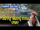 Special Story | Lure Of Food Keeps Monkeys Roaming Dhenkanal Forest Road
