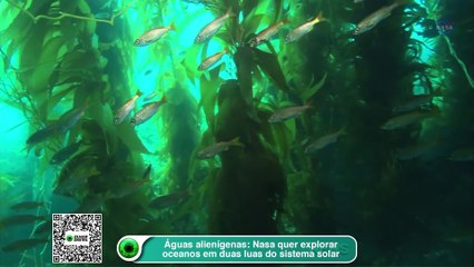 Águas alienígenas- Nasa quer explorar oceanos em duas luas do sistema solar