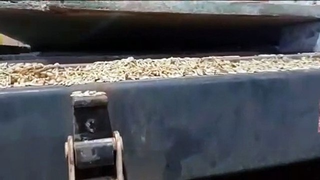 PRF apreende carreta com quase uma tonelada de maconha em Guaíra
